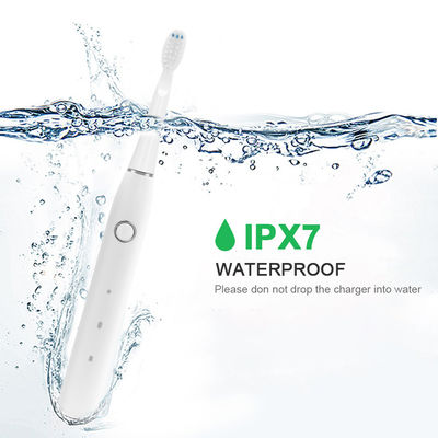Slim Portable Sonic Automatic Toothbrush 500mAh Wear Resistant